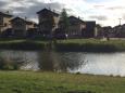 IMG 0628