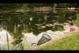 IMG 6890