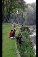 IMG 4105 (Small)