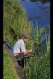 IMG 4575 (Small)