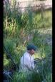 IMG 4573 (Small)